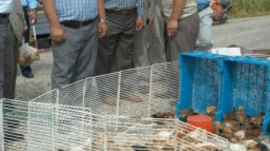 AK Partili Samani: Muhalefet koltuk derdinde