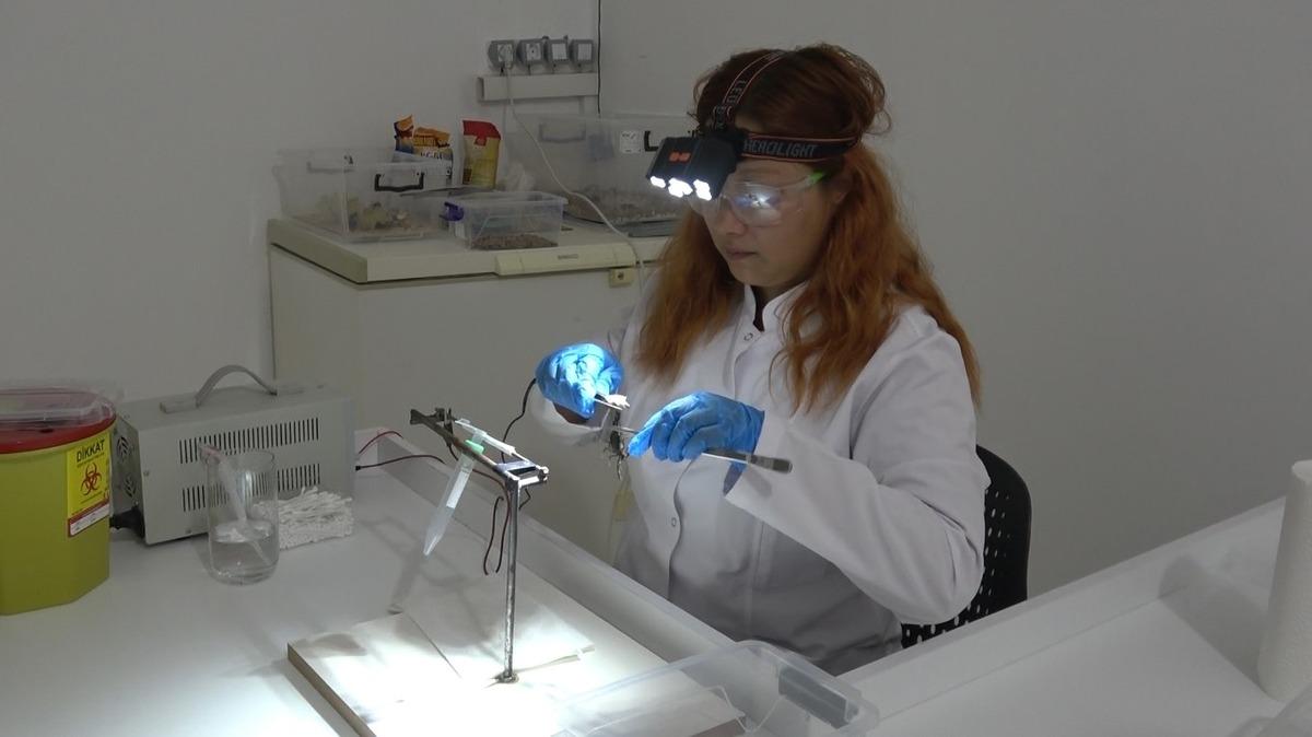 Akrebi inek gibi sağıyor! Nedenini duyan hayrete düşüyor 5