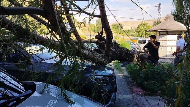 Elazığ’da fırtınanın etkisiyle ağaç araçların üzerine devrildi 5