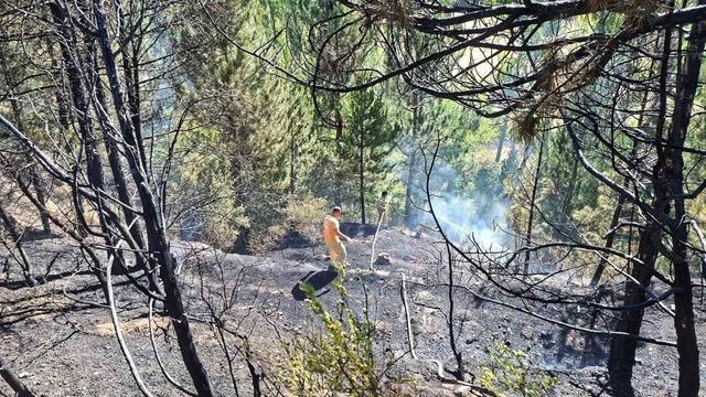Hisarcık’ta otluk alanda çıkan yangın ormana sıçramadan söndürüldü 2