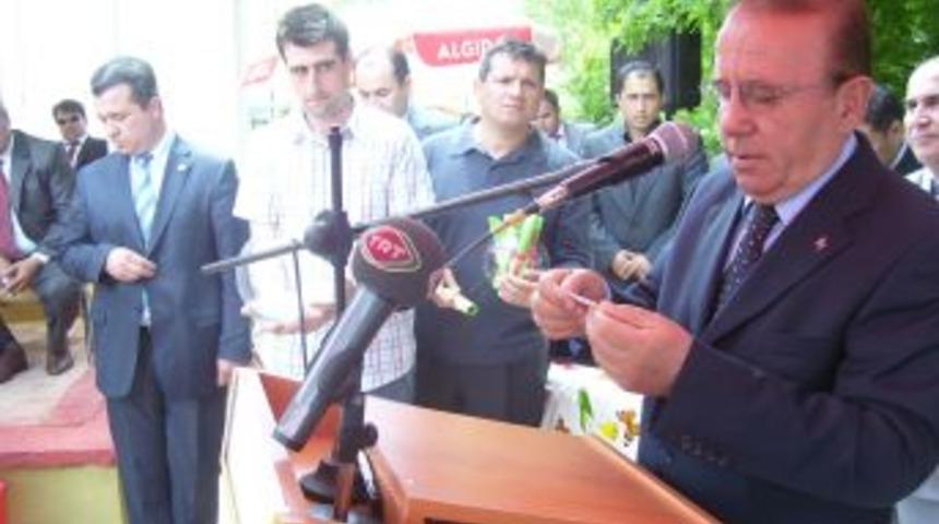 Yalva&ccedil;'ta 29 aileye 116 damızlık s&uuml;t sığırı dağıtıldı