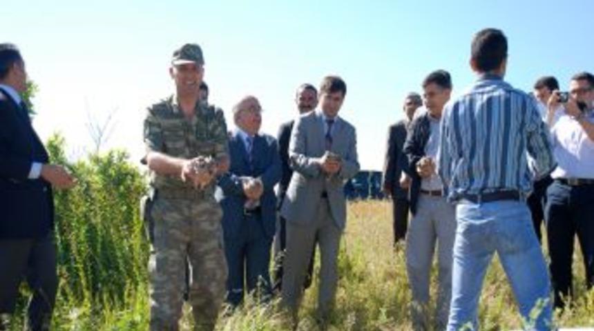 250 kınalı keklik doğaya bırakıldı