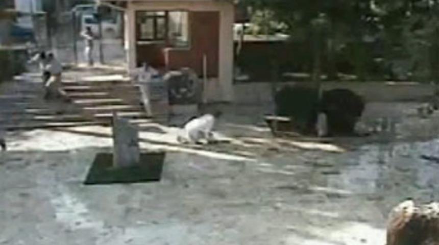 Pompalı t&uuml;fekle cinayet kamerada