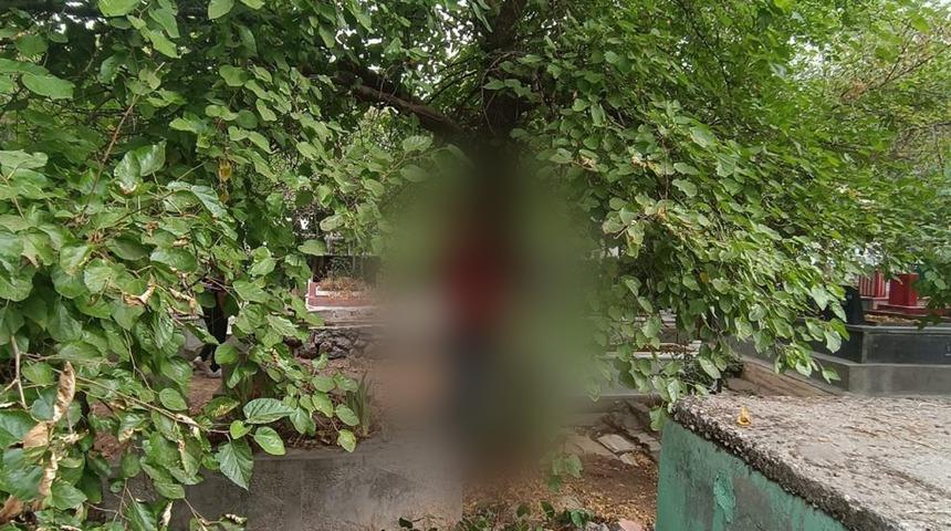 Diyarbakır'da mezarlıkta acı manzara: Bir kişi ağaca asılı halde &ouml;l&uuml; bulundu