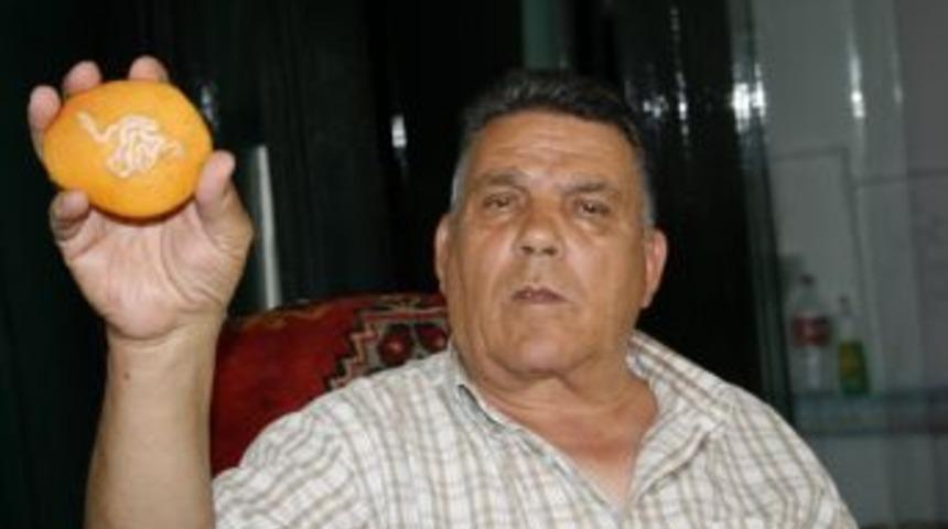 Greyfurtta kobra yılanı motifi