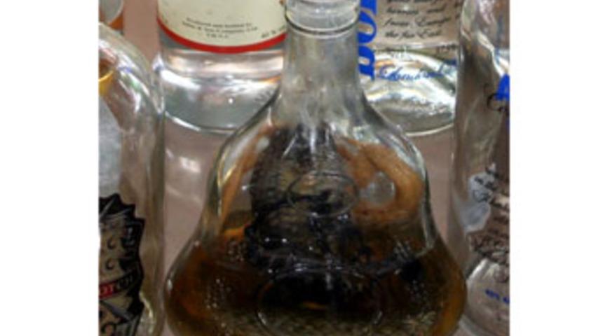 İ&ccedil;ki şişelerinden akrep ve yılan &ccedil;ıktı