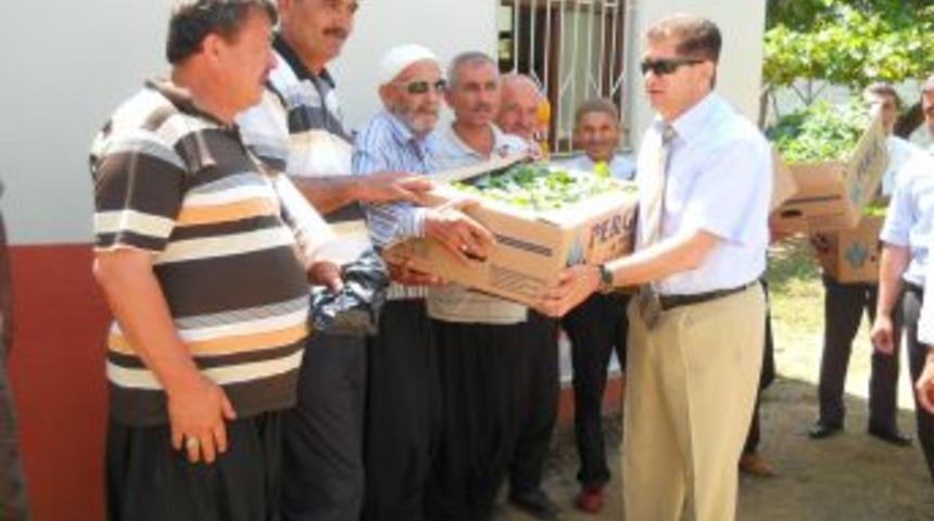 Alanya Kaymakamı Doğan 14 bin altın &ccedil;ilek fidesi dağıttı