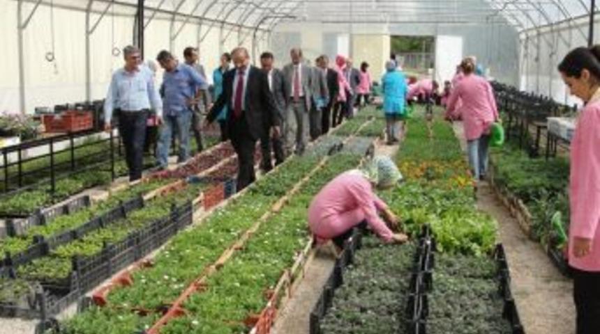 Kadınlar projeyle &ccedil;i&ccedil;ek yetiştirmeyi &ouml;ğreniyor