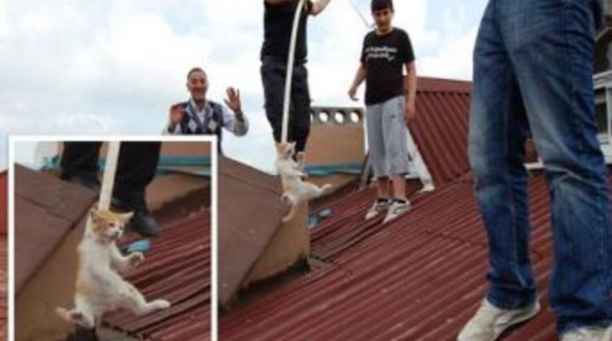 Mahalleyi ayağa kaldırdı