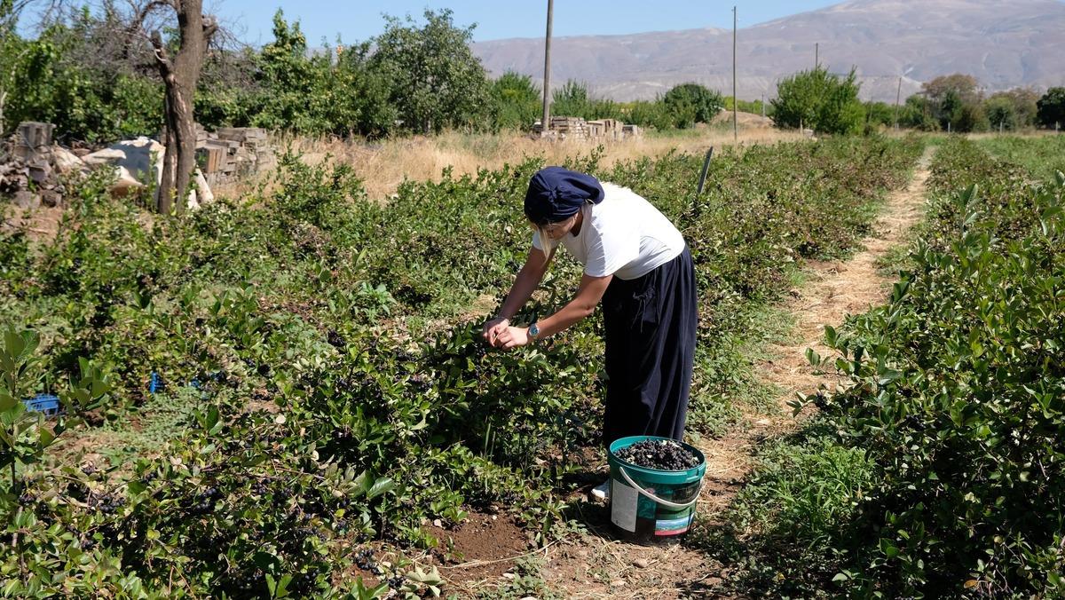 Kadın eli tarlası: Yediği dondurma sayesinde tanıdı şimdi ülkeye dağıtıyor! 4