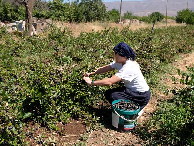Yediği dondurma sayesinde tanıdı şimdi &uuml;lkeye dağıtıyor!