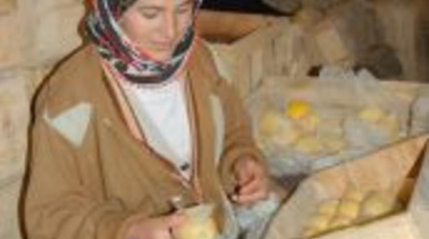 &Ccedil;eyiz parası i&ccedil;in limon depolarında &ccedil;alışıyor