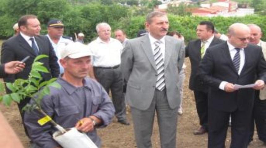 Mahkumlar cezaevinde ceviz yetiştirecek