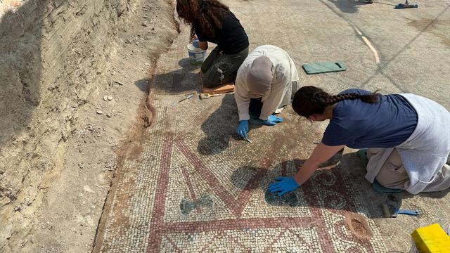Yüzyıllardır toprağın altındaydı! Kastamonu'da 105 metrekarelik mozaik bulundu