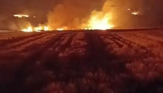 Yozgat&rsquo;ta bin 500 d&ouml;n&uuml;m arazi yandı