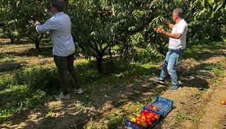 Yazın dibi g&ouml;rm&uuml;şt&uuml;! Fiyatı yeniden 40 liraya y&uuml;kseldi