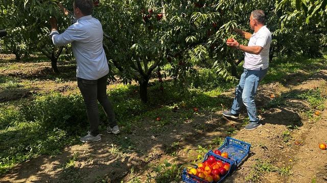 Yazın dibi görmüştü! Fiyatı yeniden 40 liraya yükseldi