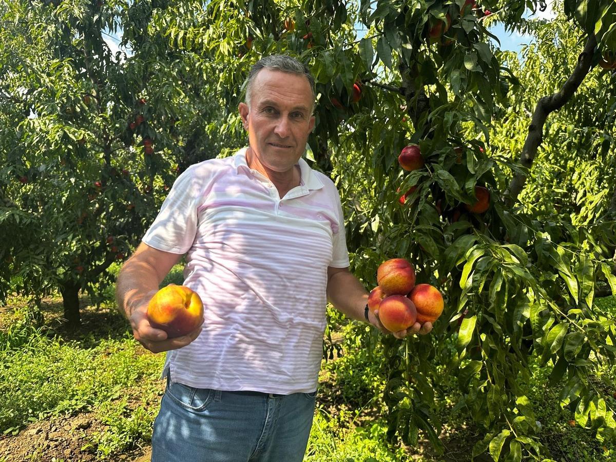 Yazın dibi g&ouml;rm&uuml;şt&uuml;! Fiyatı yeniden 40 liraya y&uuml;kseldi 2