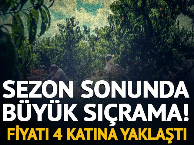 Yazın dibi g&ouml;rm&uuml;şt&uuml;! Fiyatı yeniden 40 liraya y&uuml;kseldi