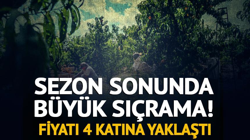 Yazın dibi g&ouml;rm&uuml;şt&uuml;! Fiyatı yeniden 40 liraya y&uuml;kseldi