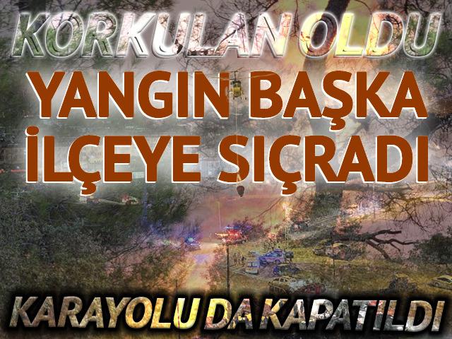 Muğla ve Antalya'daki orman yangınları b&uuml;y&uuml;d&uuml;! Ekipler b&ouml;lgede