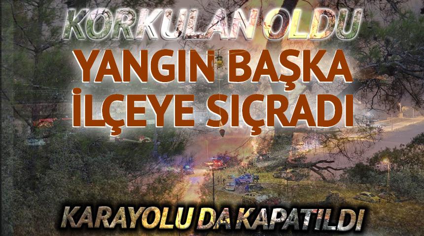 Muğla ve Antalya'daki orman yangınları b&uuml;y&uuml;d&uuml;! Ekipler b&ouml;lgede