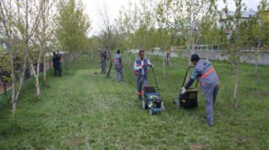 Aziziye Belediyesi ağa&ccedil;landırma &ccedil;alışmalarına başladı