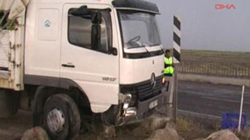 Koyunlar kazaya neden oldu