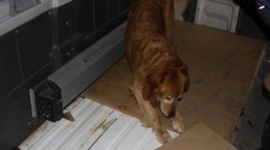 Gaziantep'te uyuşturucu operasyonu