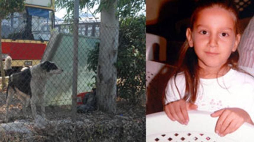 K&ouml;pekten ka&ccedil;arken aracın &ccedil;arptığı &ccedil;ocuk &ouml;ld&uuml;