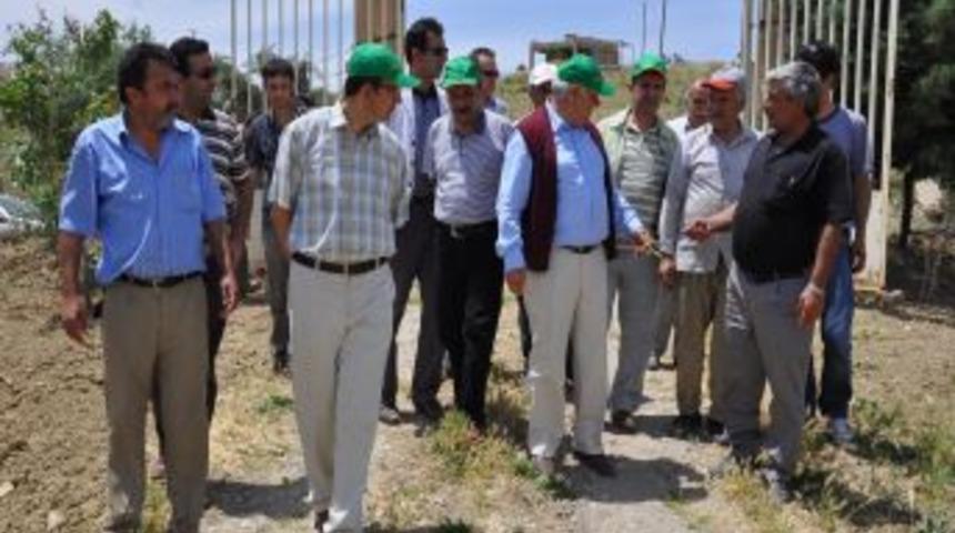 Vali &Ccedil;olak:Siirt'in g&ouml;zbebeği bağlara ve bah&ccedil;elere sahip &ccedil;ıkmak hepimizin g&ouml;revi