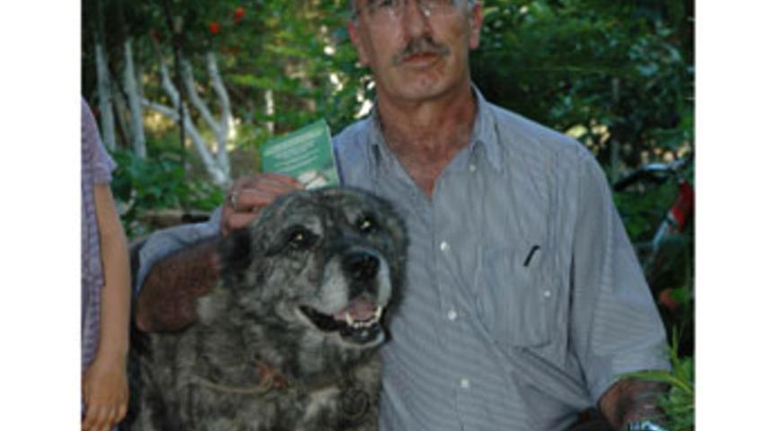 &Ccedil;ocuğu ısıran k&ouml;peğin sahibine para cezası