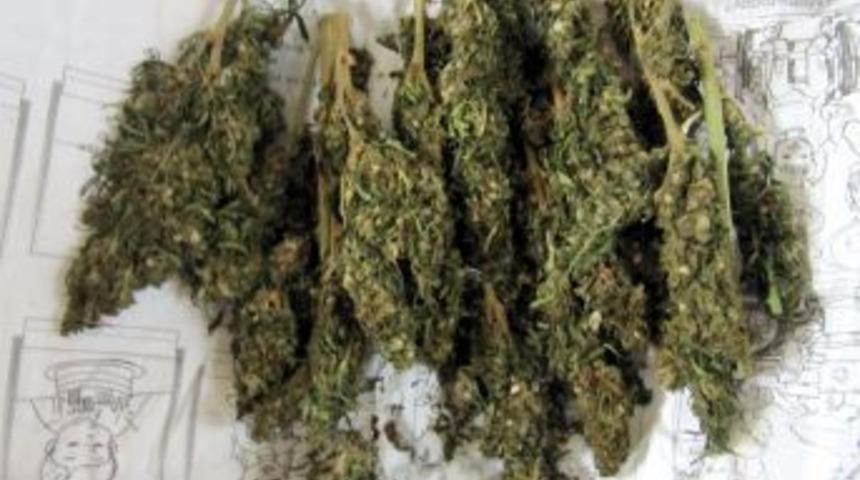 Nevşehir'de esrar operasyonu