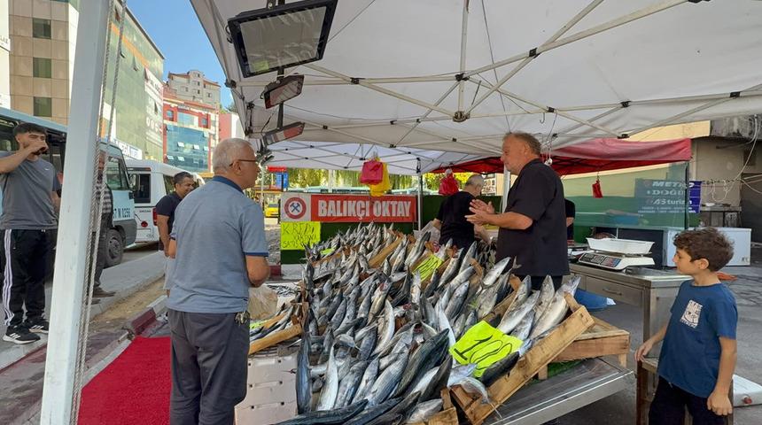 Zonguldak'ta palamut sezonu 100 liradan başladı