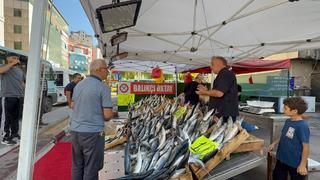 Zonguldak'ta palamut sezonu 100 liradan başladı