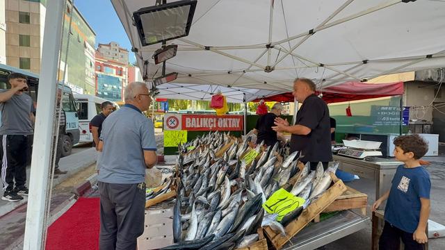 Zonguldak'ta palamut sezonu 100 liradan başladı