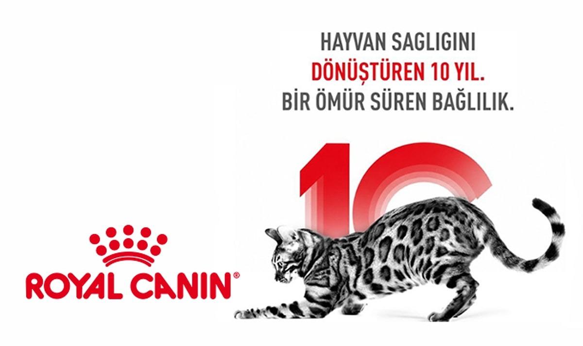 Kedi ve k&ouml;peklerin gizemli d&uuml;nyasına davetlisin: Royal Canin Deneyim Evi nde seni neler bekliyor? 1
