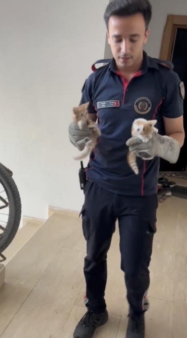 Havalandırma boşluğuna d&uuml;şen 3 yavru kediyi itfaiye kurtardı 1