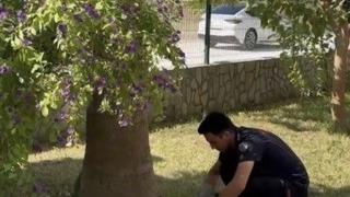 Havalandırma boşluğuna düşen 3 yavru kediyi itfaiye kurtardı