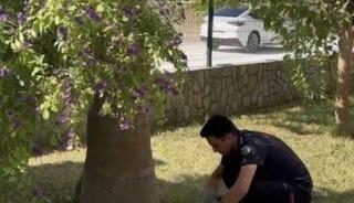 Havalandırma boşluğuna d&uuml;şen 3 yavru kediyi itfaiye kurtardı