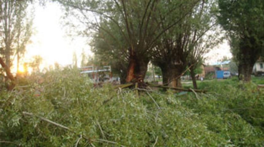 Kütahya'da yıldırım dehşeti; 2 ölü, 3 yaralı