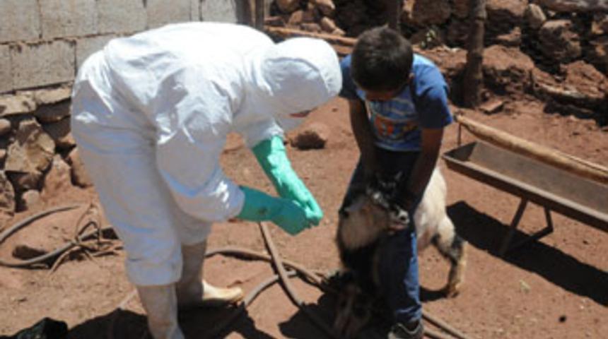 Yeni Aslanbaşar k&ouml;y&uuml;ne kuduz karantinası