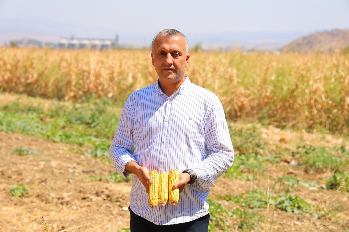 Tarlada 14, markette 26.50 TL den satılıyor! P&uuml;sk&uuml;l&uuml; bile şifa deposu 2