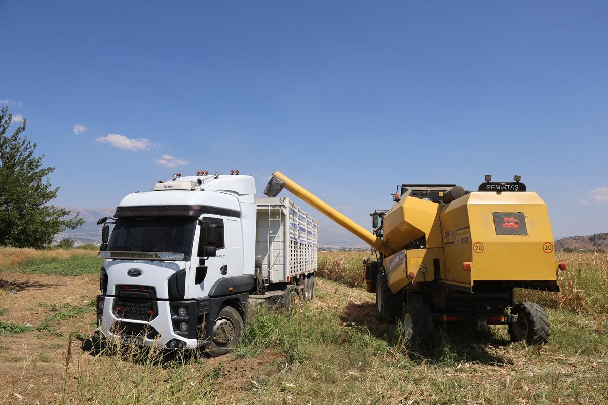 Tarlada 14, markette 26.50 TL den satılıyor! P&uuml;sk&uuml;l&uuml; bile şifa deposu 1