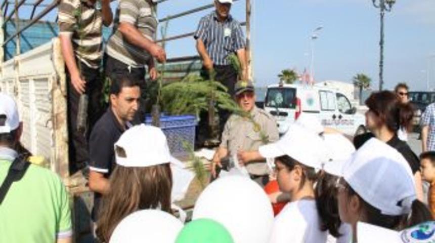 &Ccedil;evre g&uuml;n&uuml; kapsamında &ccedil;am fidanı dağıtıldı