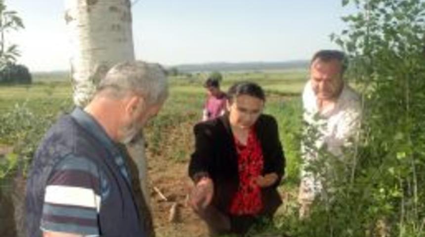 Yıldırım düşmesi ile 4 günde 3 kişi öldü