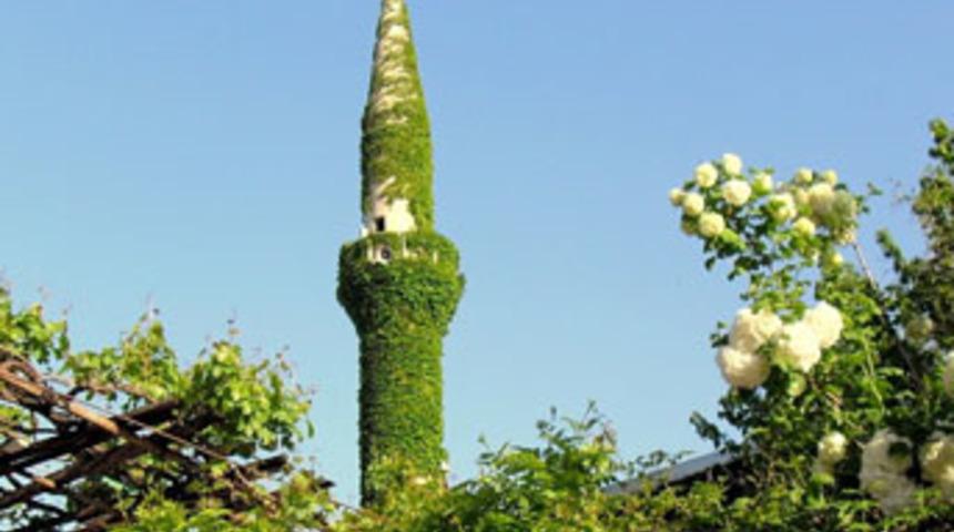 Bu da sarmaşıklı cami