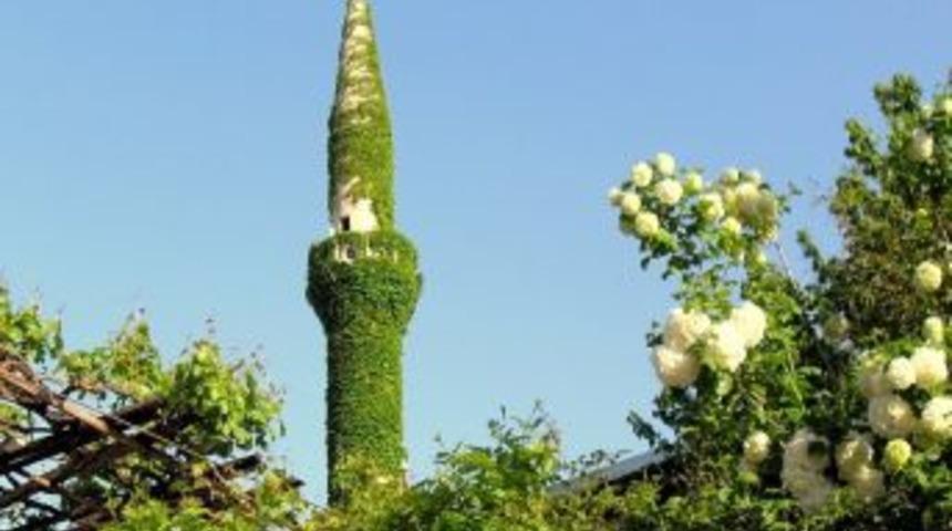 Yaz geldi, minare yeşile büründü