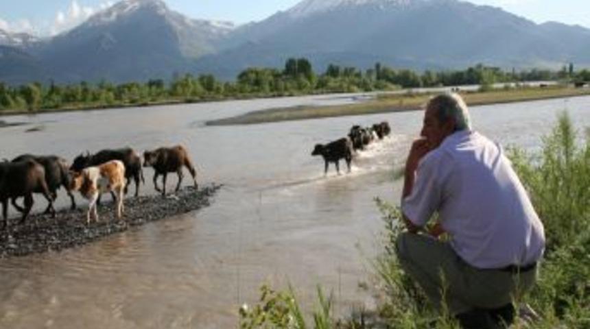Hayvanlar, Karasu'nun azgın sularıyla artık m&uuml;cadele etmeyecek