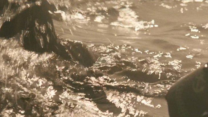 Fear the Walking Dead 2. Sezon 3. Bölüm Fotoğrafları G1